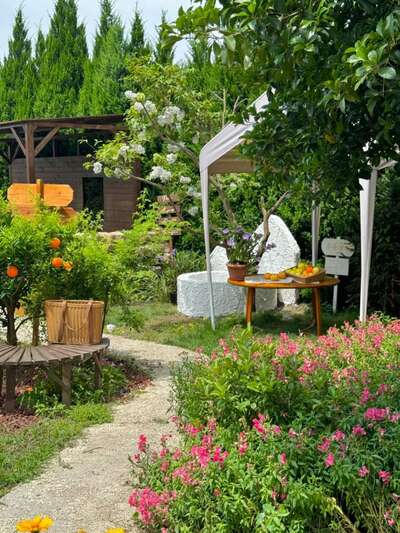 hz/别墅/江边洋房1